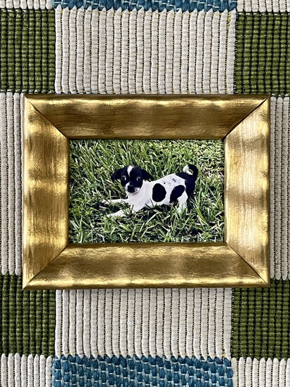 Gainesville Picture Framers: Making Memories Last! 