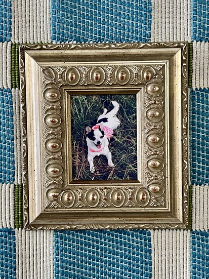 Gainesville Picture Framers: Making Memories Last! 