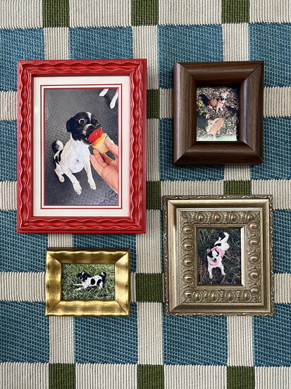 Gainesville Picture Framers: Making Memories Last! 