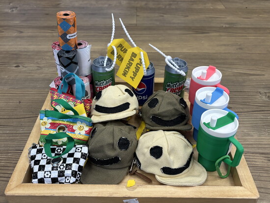 Earthwise Pets: Clean Up in Style