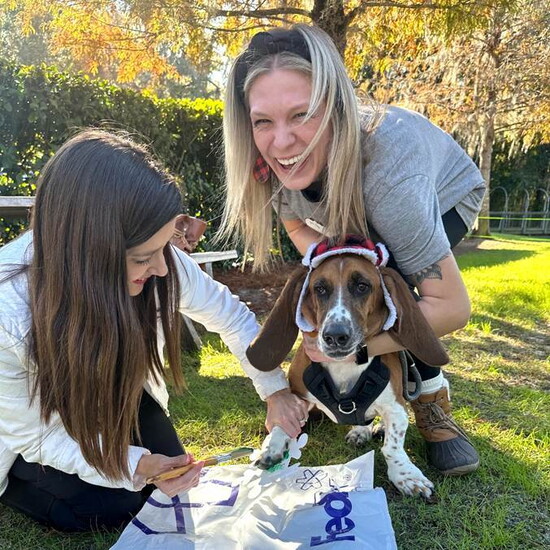 Shakespeare Animal Fund: Helping Alachua County's Most Vulnerable Pet Owners