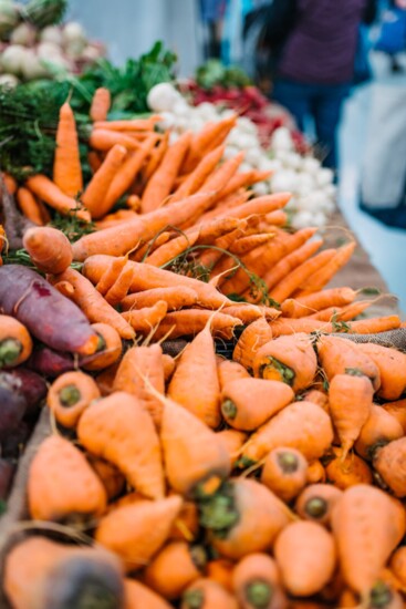 Boulder County Fairgrounds Annual Winter Market Photography by Abby Shepard Photography