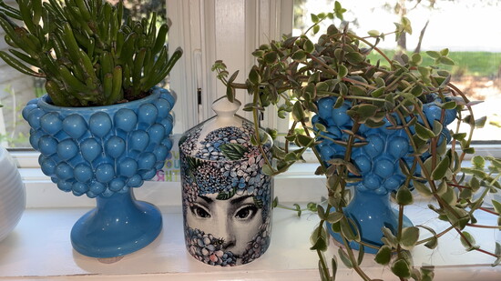 Carly's planters from Sicily. 