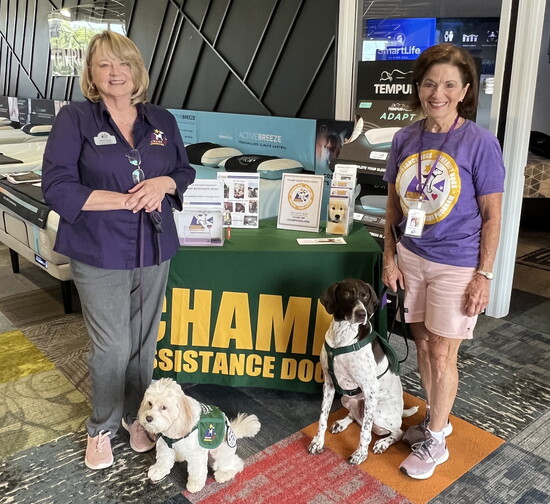 Mattress Dogzzz fundraiser for CHAMPS 