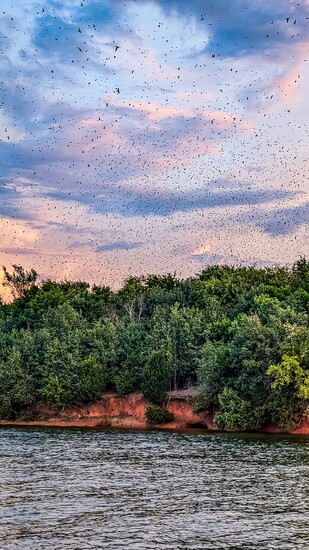 Photo by Micah Decker