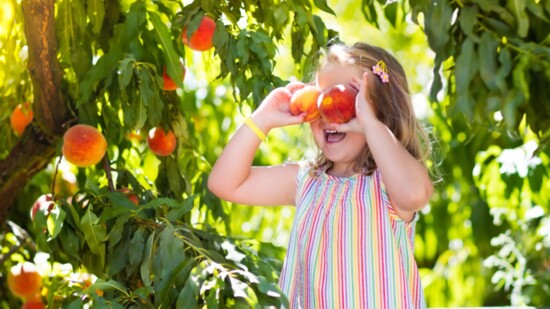 Show Your Ap-peach-iation for Local Farms
