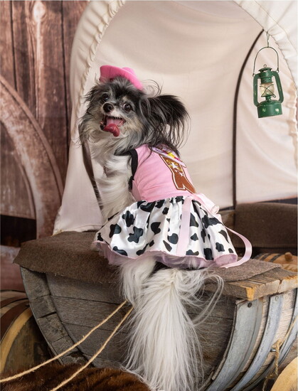 Photo credit: Taneya Hayden Photography