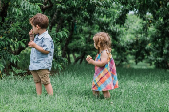 Apple picking season runs from early August to early November