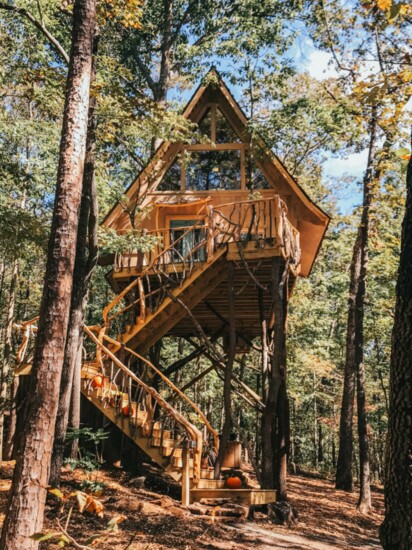 Stay in a treehouse, find your inner child!