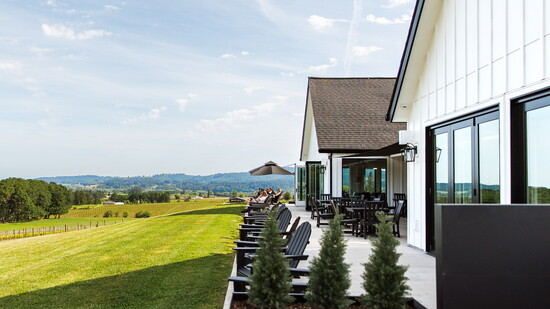 The Estate House overlooking the 20-acre vineyard 