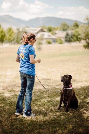 Ralston Valley Canine Trainer- Sara