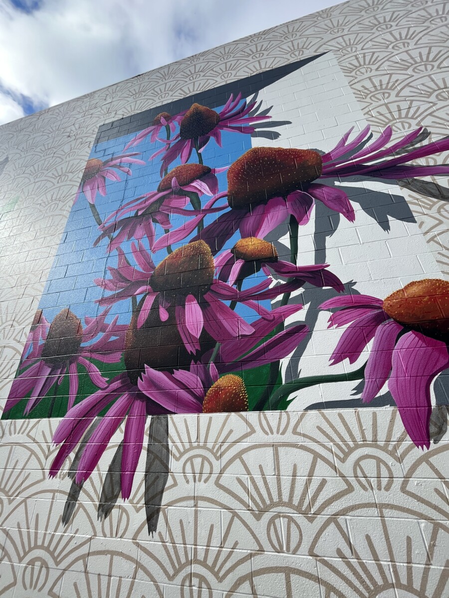 Seven Must See Murals In Franklin