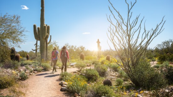 A desert stroll with plenty of water