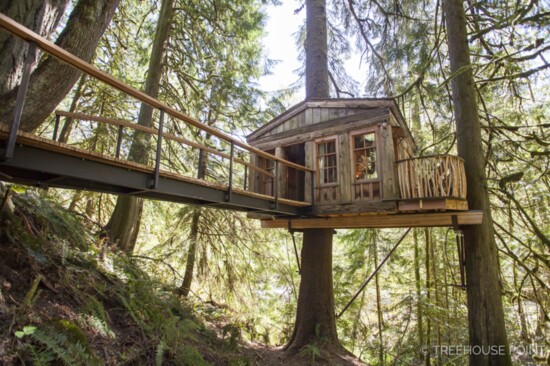 The Temple of the Blue Moon was the first treehouse built on the property
