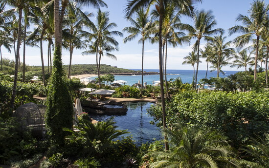 Photograph by Robb Gordon