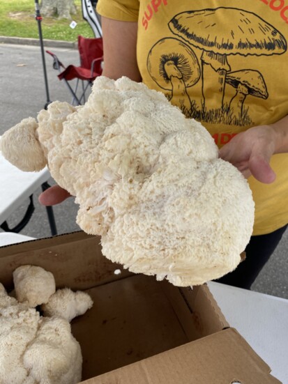 Smoked Lion's Mane mushroom are a favorite at Pink's pop ups at the farmers markets. Chef Drew sources from local farmers as often as possible.