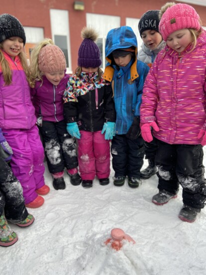 Snow volcanoes (Photo: Dr. Levesque Elementary)