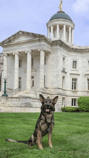 K-9 Gucci