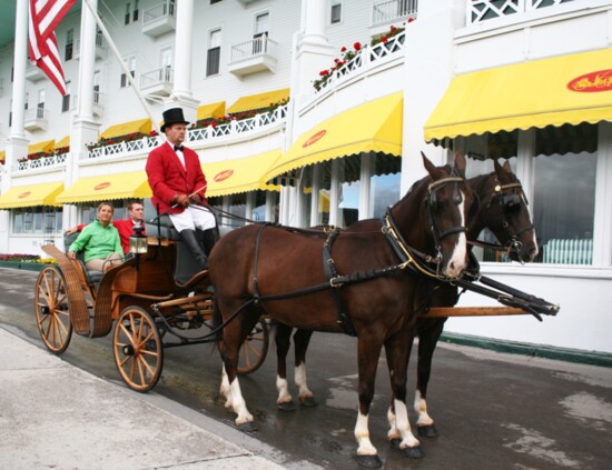 Beautiful Hackney horses pull light carriages driven by liveried coachmen.