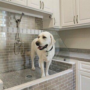 outstanding-dog-shower-ideas-pet-washing-stations-6_sebring-design-build-300?v=1
