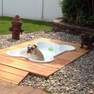 outdoor-bone-pool-for-dog-playground-300?v=3