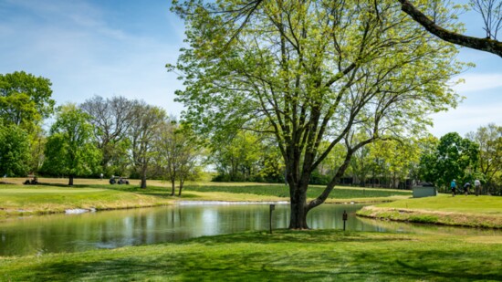 One of the many beautiful holes on the Bluegrass golf course.