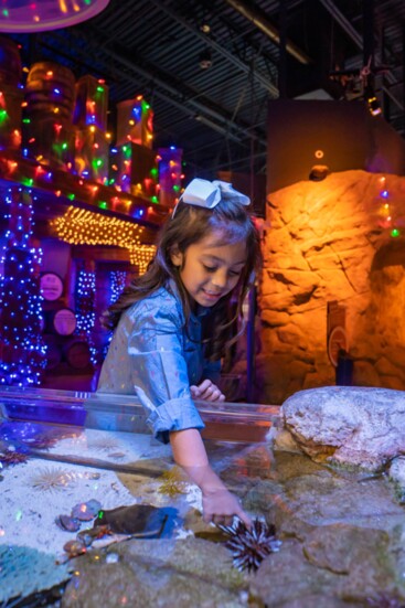 Sea Life Arizona Aquarium. Courtesy Tempe Tourism