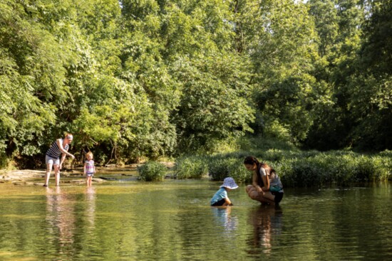 Line Creek. Photo by Katie Currid