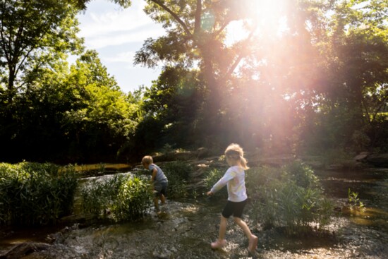 Line Creek. Photo by Katie Currid