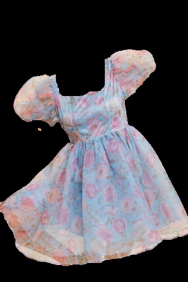 Doll Aesthetics & Babydoll Dresses/Floral Print Organza Balloon Sleeve Mini Dress