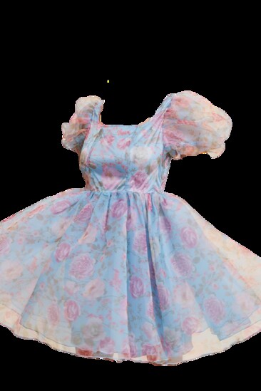 Doll Aesthetics & Babydoll Dresses/Floral Print Organza Balloon Sleeve Mini Dress