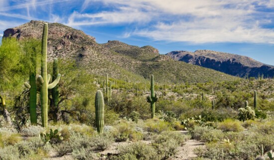 Beautiful, vast desert.