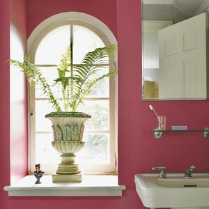 magenta_bathroom_with_potted_plant-r-300?v=1