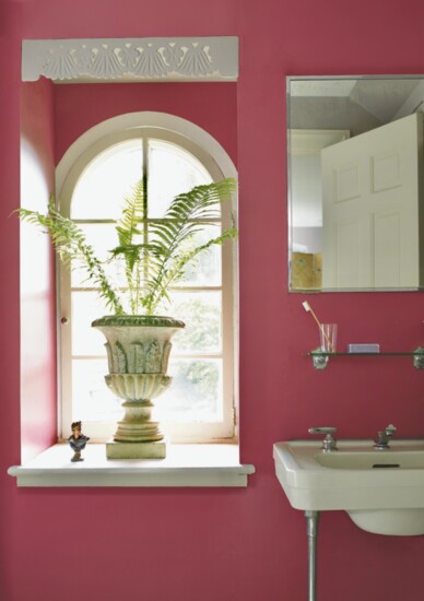 Powder room wall in Old Claret.