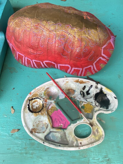 Turtle shells find new life as local art
