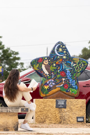 "Twinkle Bright My Texas Light" by Cathy Richardson