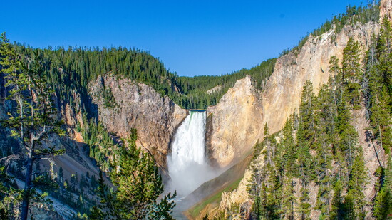Yellowstone Falls