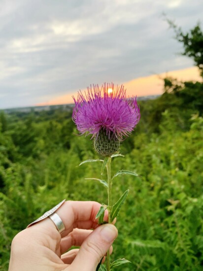 Sunset at Manhattan Hill