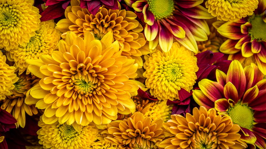 Featured image for Stem by Season