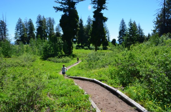 Upper-elevation trails let you escape the summer heat. 