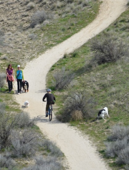 Most Foothills trails are multi-use, so be courteous to others.