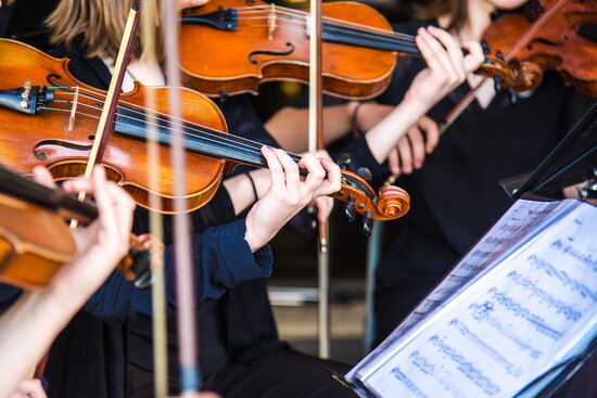 Strings move as one, weaving harmony through collective precision.
