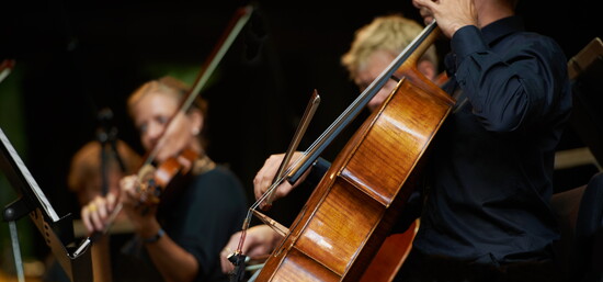 Warm tones rise from the cello, shaped by steady hands.