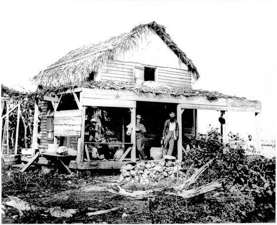 Pierce House on Hypoluxo Island, 1870s—built from salvaged shipwreck lumber with a palmetto-thatched front roof made by Seminole Native Americans.