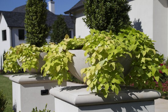 Even the planters in front of this home in Nichols Hills utilizes cast stone.