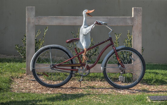 Duck on a Bike
