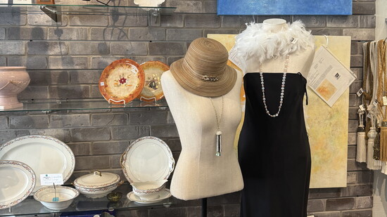 American Cancer Society Discovery Shop
