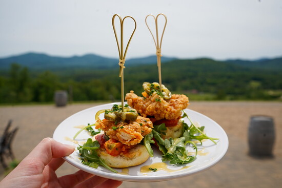 Small plate at Hazy Mountain Vineyards and Brewery with mountains in the background. Photo Credit: Hazy Mountain Vineyards and Brewery.