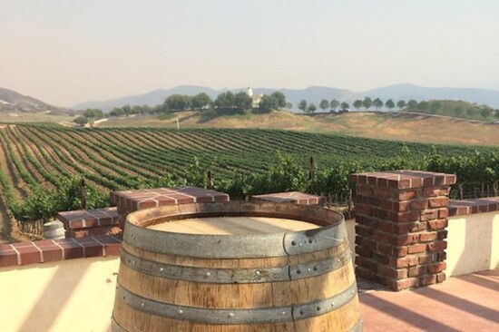 Grapeline Wine Tours, Temecula