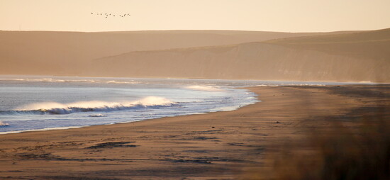 Courtesy Marin Convention & Visitors Bureau